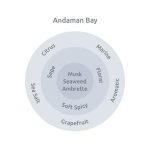 Eau De Parfum Andaman Bay - Image 4